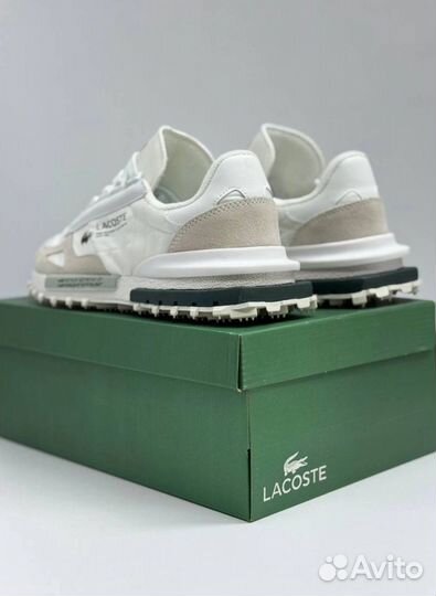 Кроссовки Lacoste модные