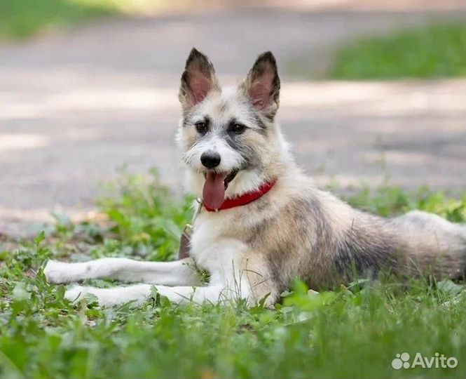 Подари мне шанс прожить жизнь в семье