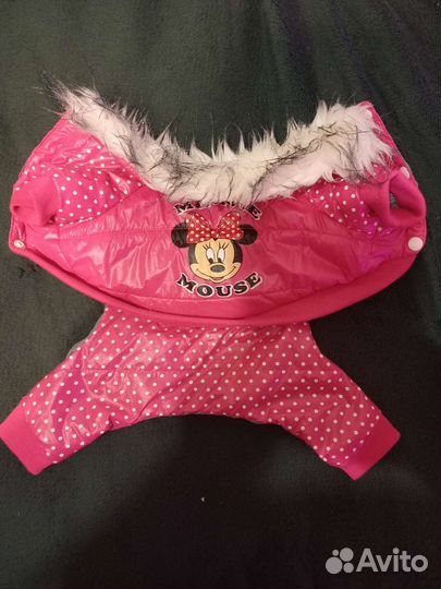 Куртка для собак мелких пород