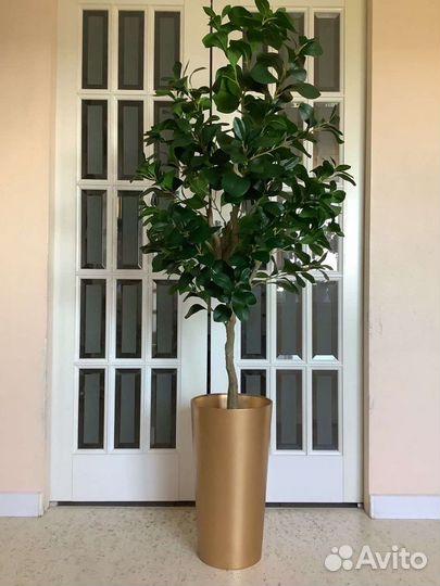 Искусственные деревья пальмы фикус бамбук терраса