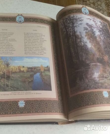 Евгений Онегин подарочное издание