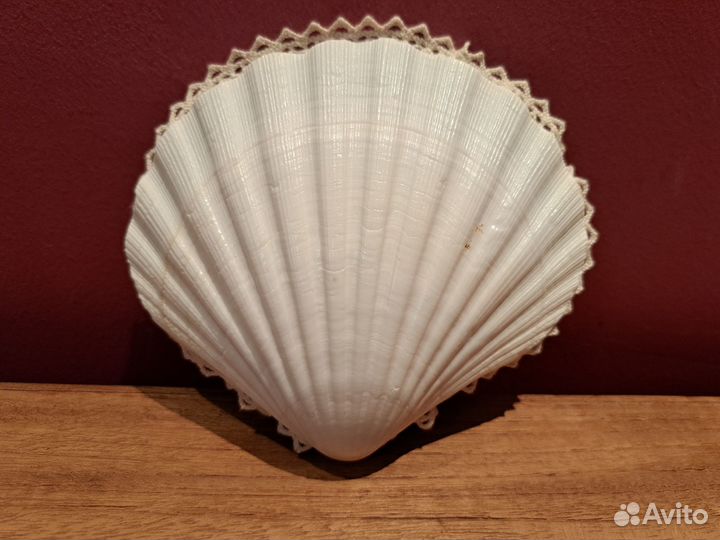 Подставка для украшений из ракушки