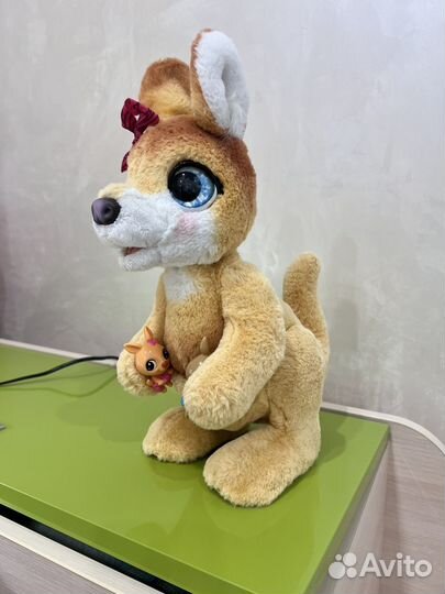 Интерактивный кенгуру