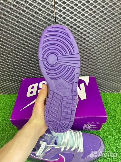 Кроссовки Nike SB Dunk Low Purple Lobster