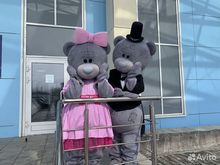 Поздравление от мишки тедди