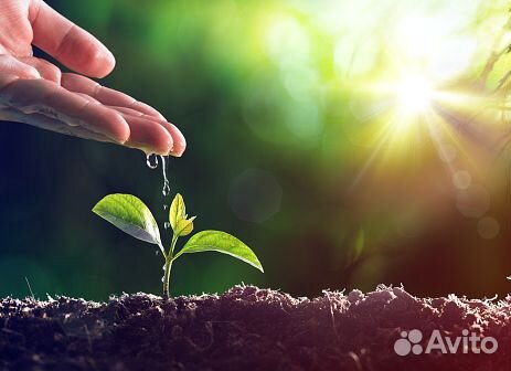 Торфосмесь