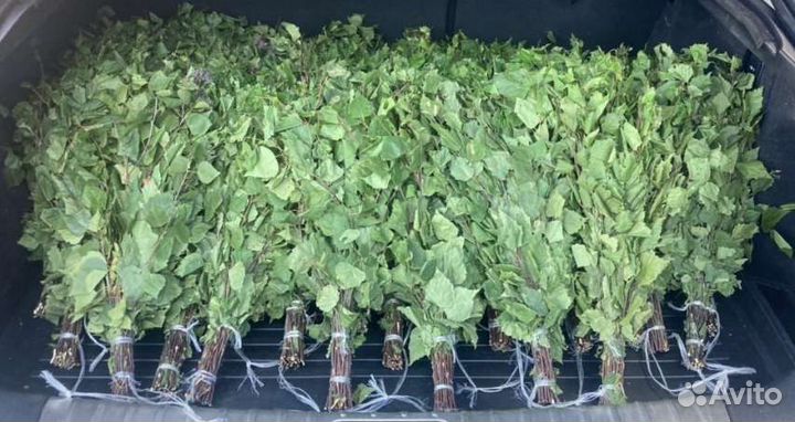 Веники для бани