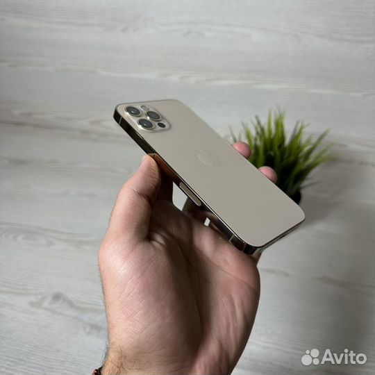 iPhone 12 Pro, 128 ГБ