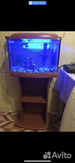 Аквариум с тумбой