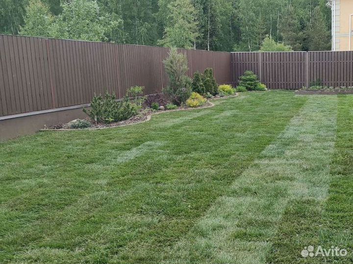 Качественный газон под ключ