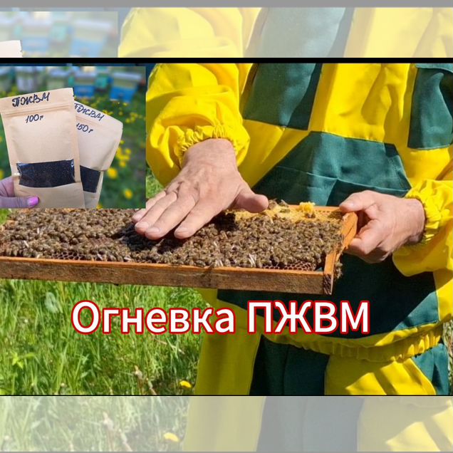 Огневка, Сухой пжвм, Восковая моль