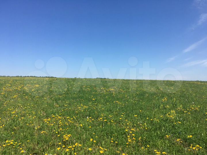 Участок 2 га (СНТ, ДНП)