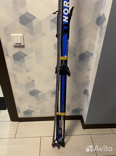 Беговые лыжи