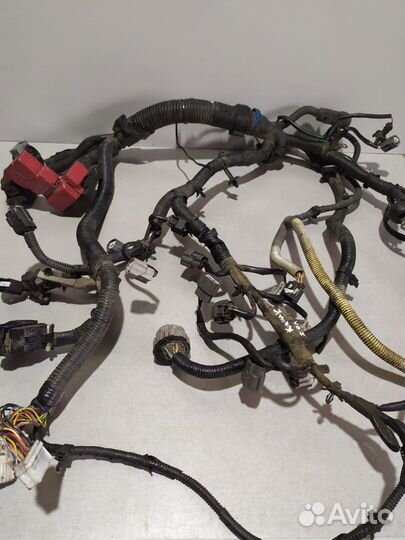 Проводка двигателя Nissan Qashqai 2008 2.0 л