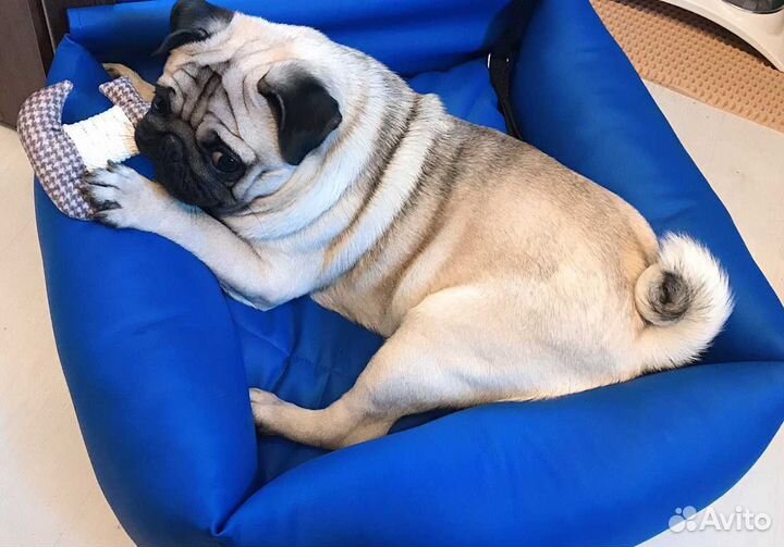 Автокресло для собак