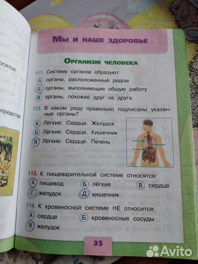 Тесты для 3 класса по Окружающему миру Плешаков