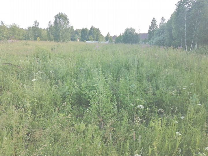 Участок 12 сот. (ИЖС)