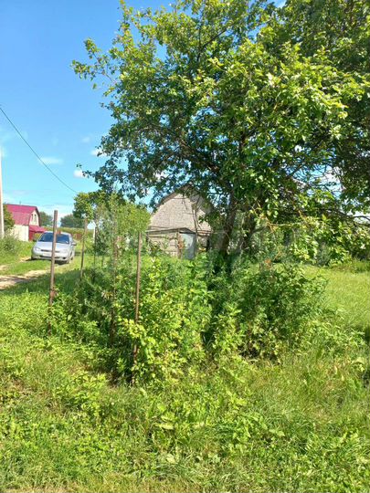 Участок 5,5 сот. (СНТ, ДНП)