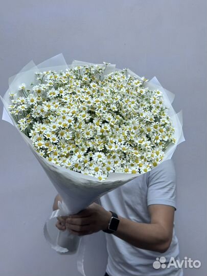 51 Ромашка с доставкой