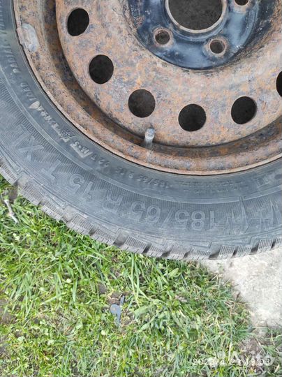 Gislaved Nord Frost 5 185/65 R15