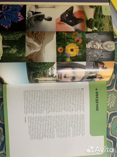 Основы фотографии. Тим Дэйли