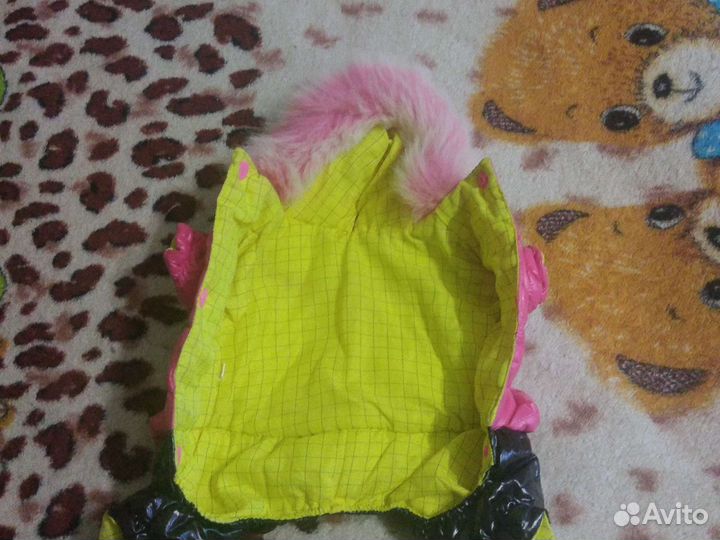 Костюм для чихуа