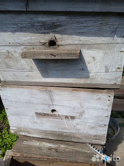 Пчеловодство: ульи Дадана, инструмент