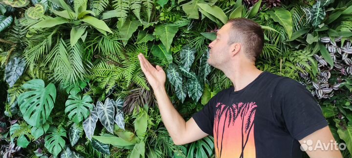 Аренда фотозоны из тропических растений