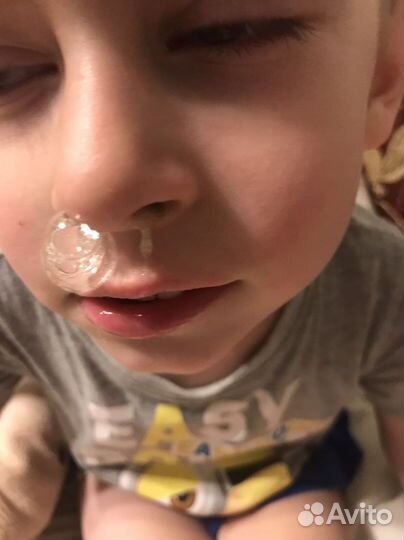 Каланхоэ от насморка