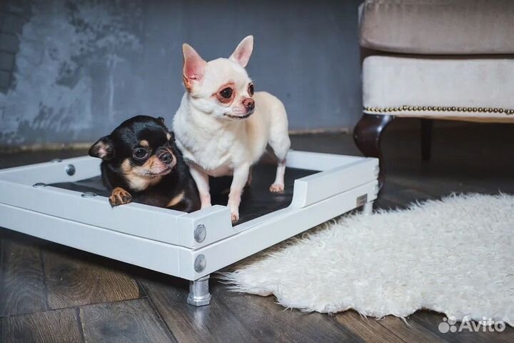 Домик для собак и кошек