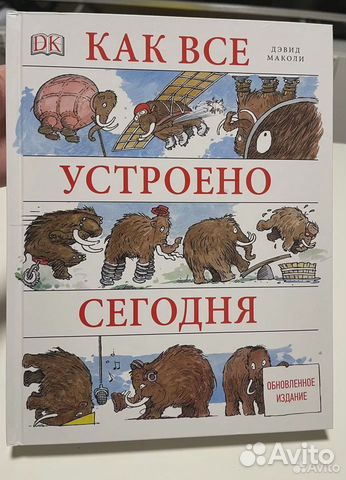 Как все устроено сегодня Маколи