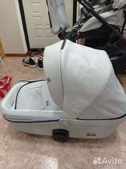 Коляска 2 в 1 adamex amelia