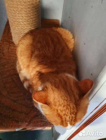 Мама не видит Веснушку,листает,листает, и не видит