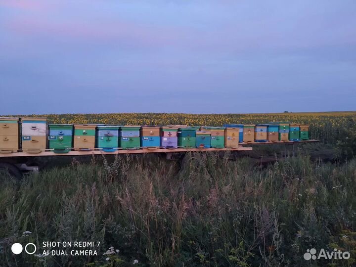 Прицеп для перевозки пчел (пчелоплатформа)