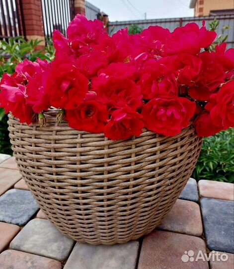 Кашпо из ротанга