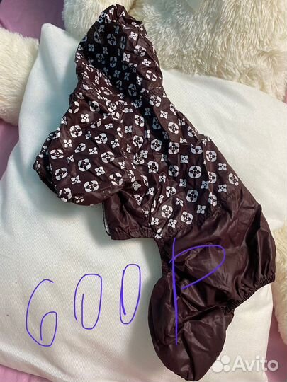 Одежда для собак