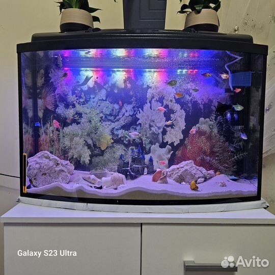 Аквариум 125 л