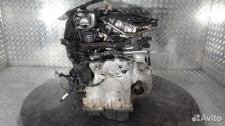 Двигатель Volkswagen Golf 5 (03-09) BLR