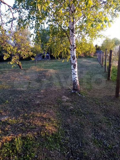 Участок 25 сот. (ИЖС)