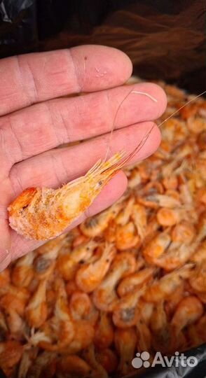 Креветка азовская опт и розница
