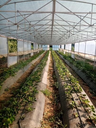 Дом 60 м² на участке 28 сот.