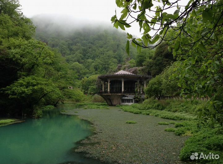 Тур в Абхазию, Папа-Дом 10 нч. пит-ие 3 раз