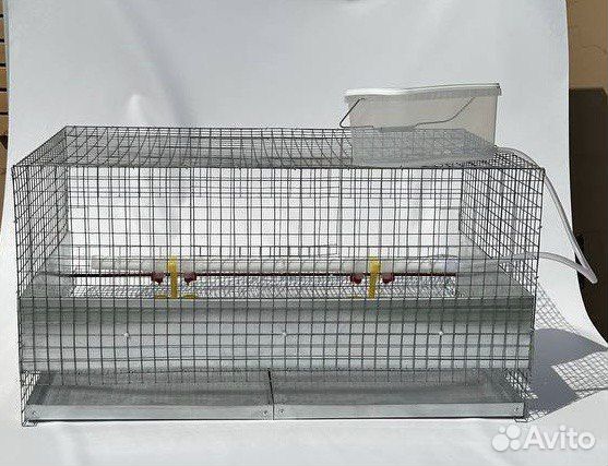 Клетки для кур несушек