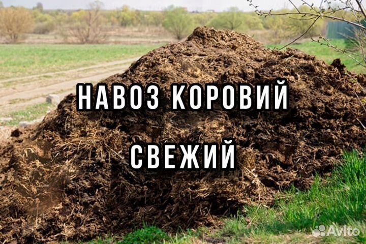 Навоз свежий коровий доставка