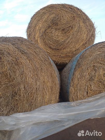 Сено в рулонах