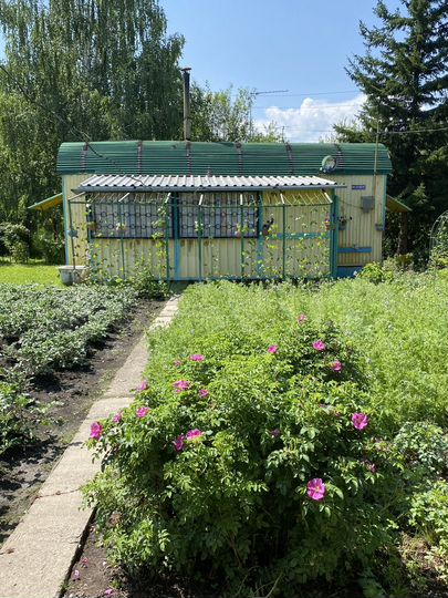 Участок 11,4 сот. (СНТ, ДНП)