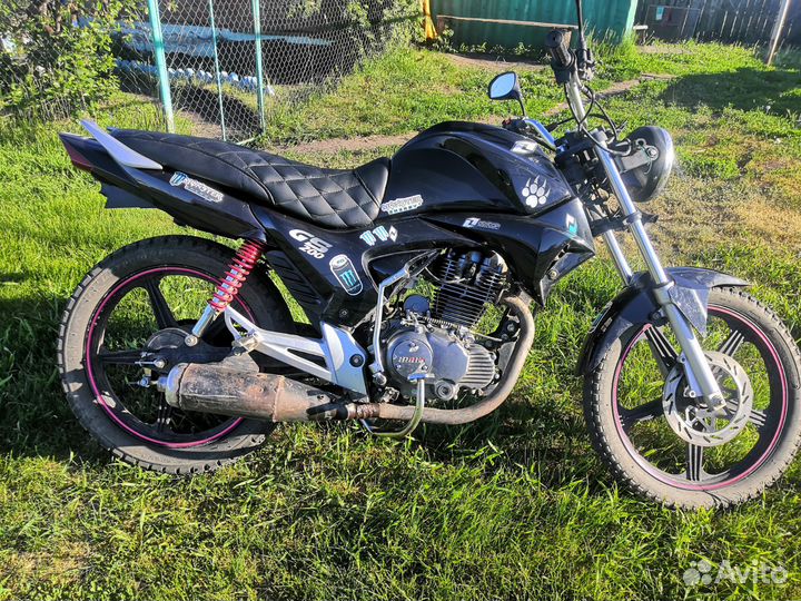 Продам ирбис гс 200
