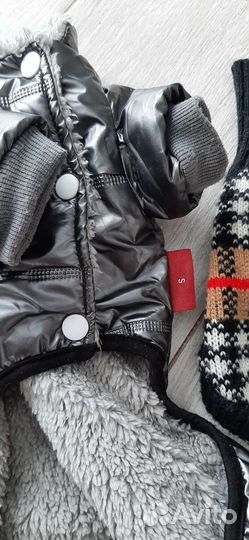 Комбинезон для маленькой собачки