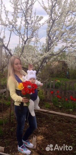 Кенгуру