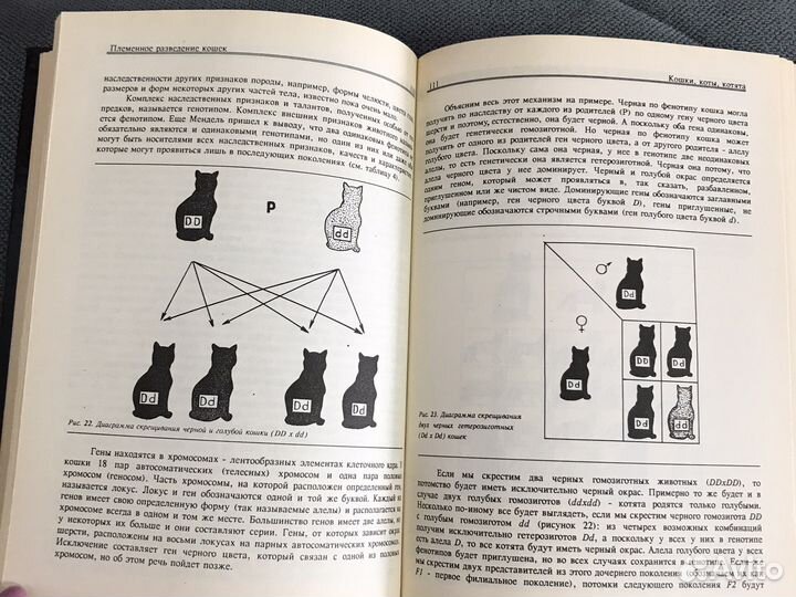 Литература о кошках